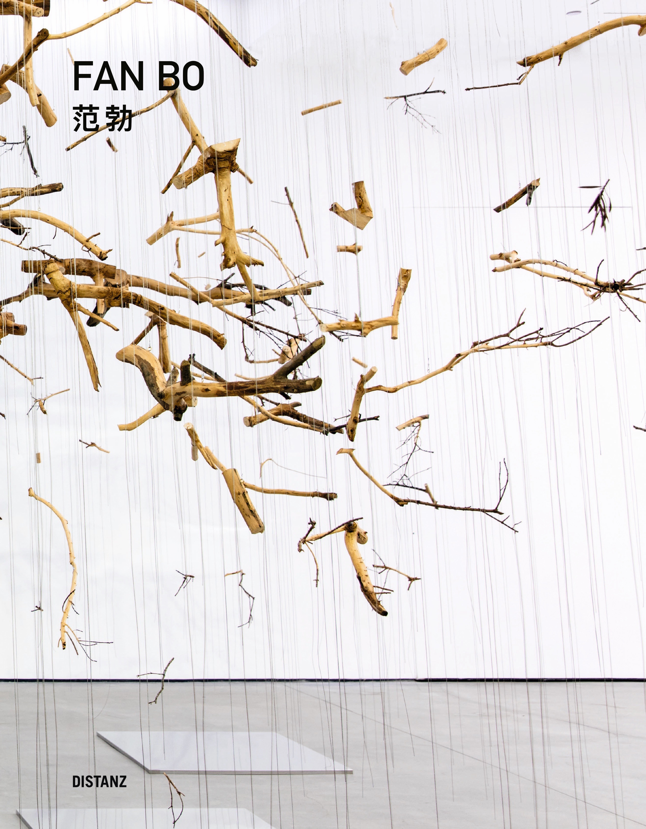 Buchcover Emerging from Shadow