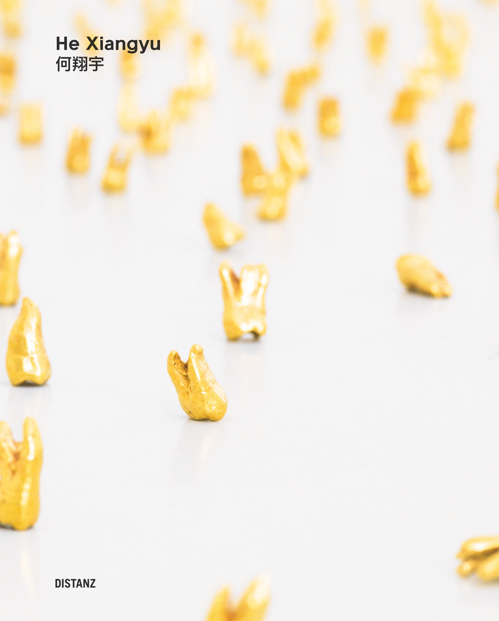 Buchcover He Xiangyu