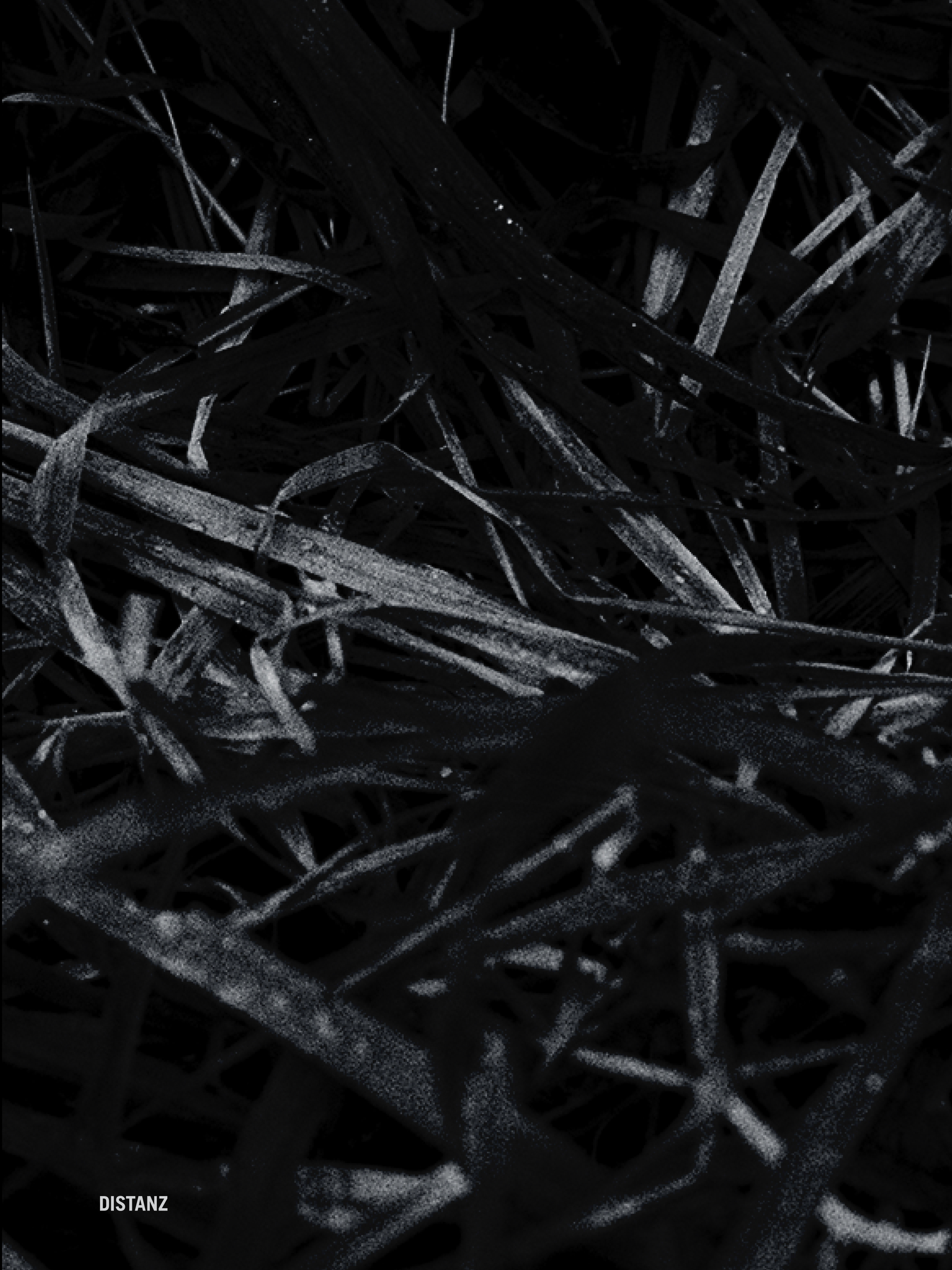 Buchcover Last Year‘s Nest