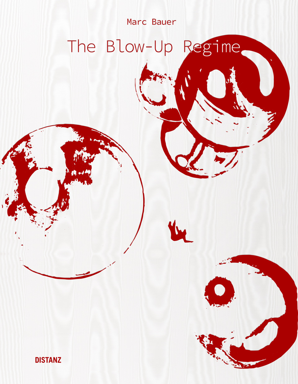 Buchcover The Blow-Up Regime