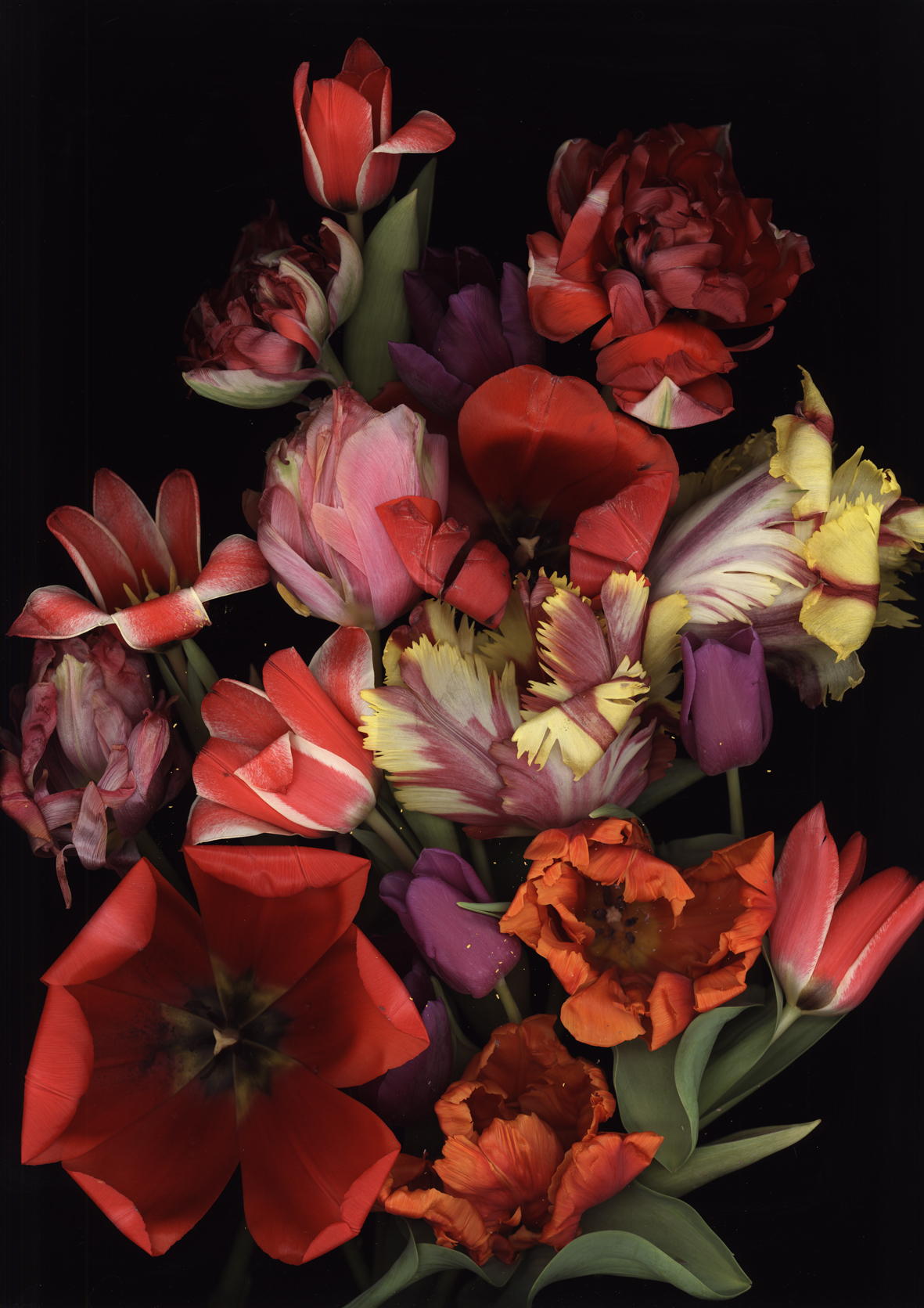 Buchcover Stockage 127