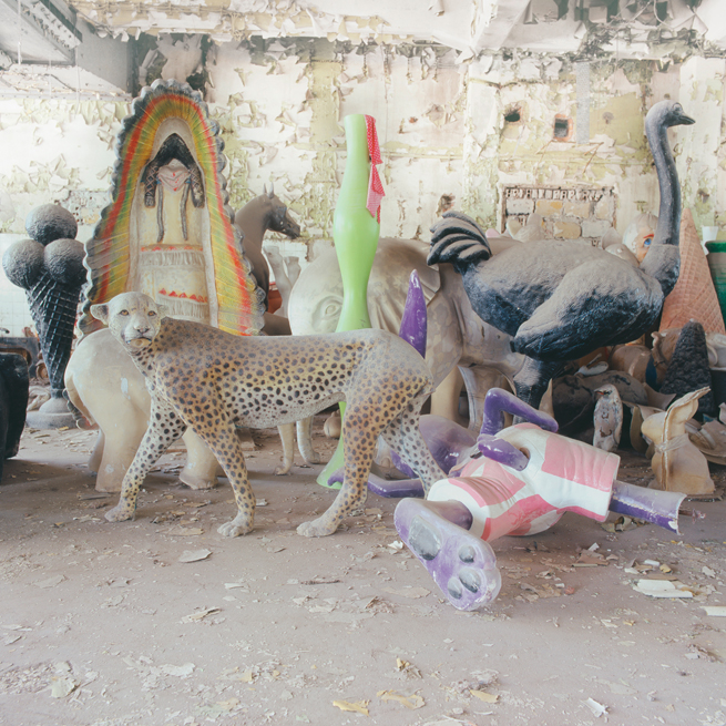 Buchcover Leopard, Giraffe