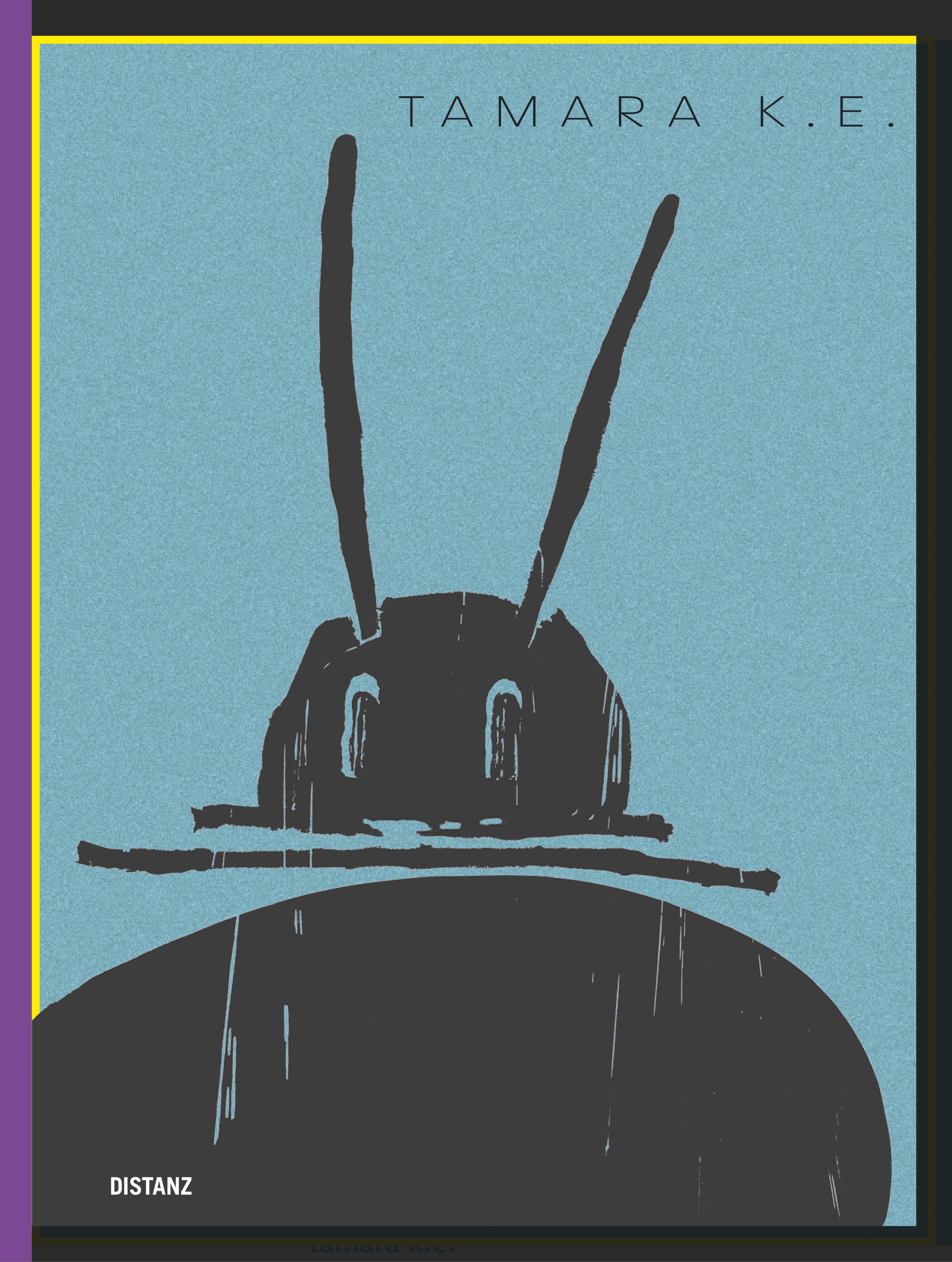 Buchcover Fading song in the wide open