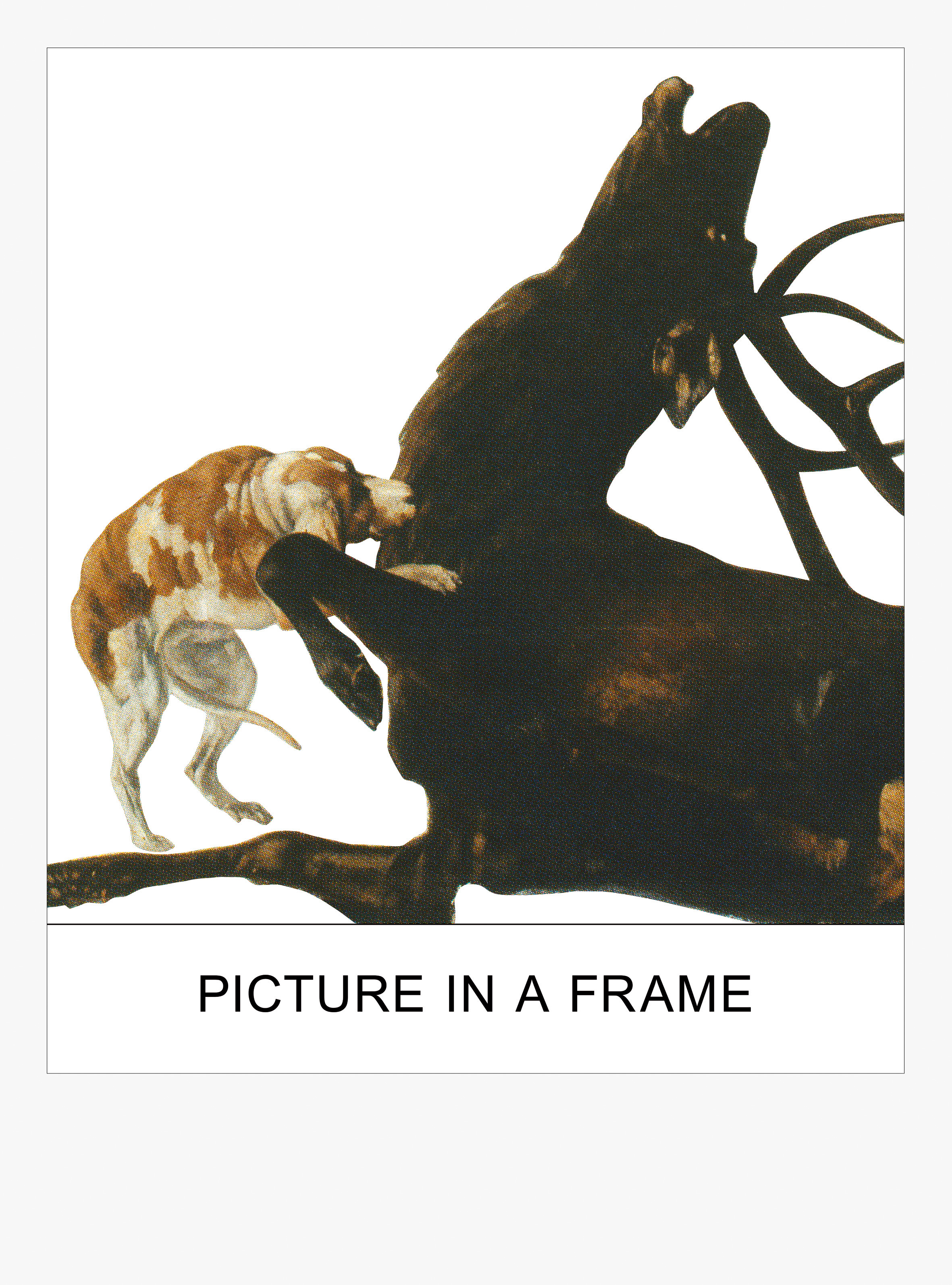 Buchcover Picture in a Frame