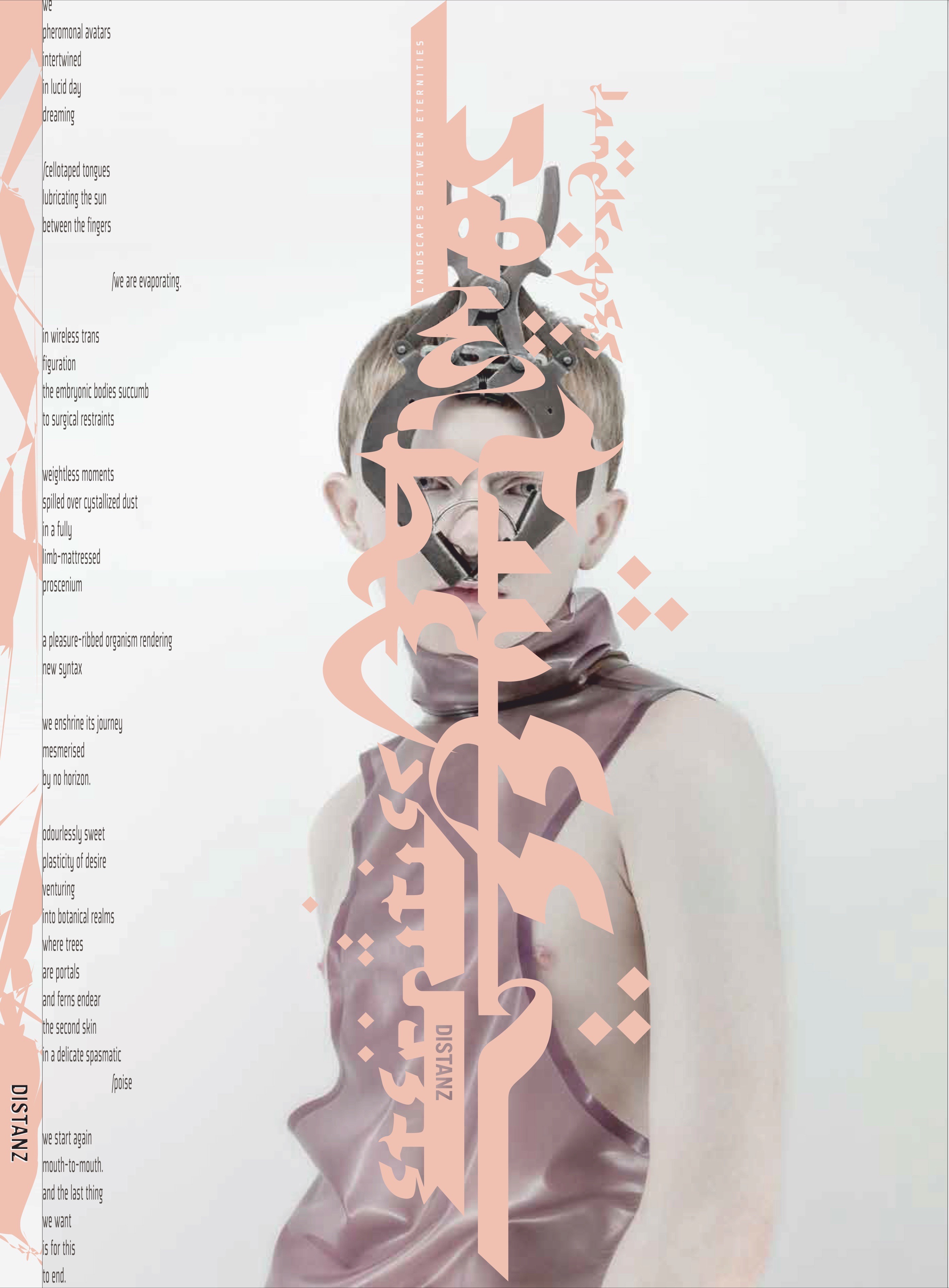 Buchcover Landscapes between eternities