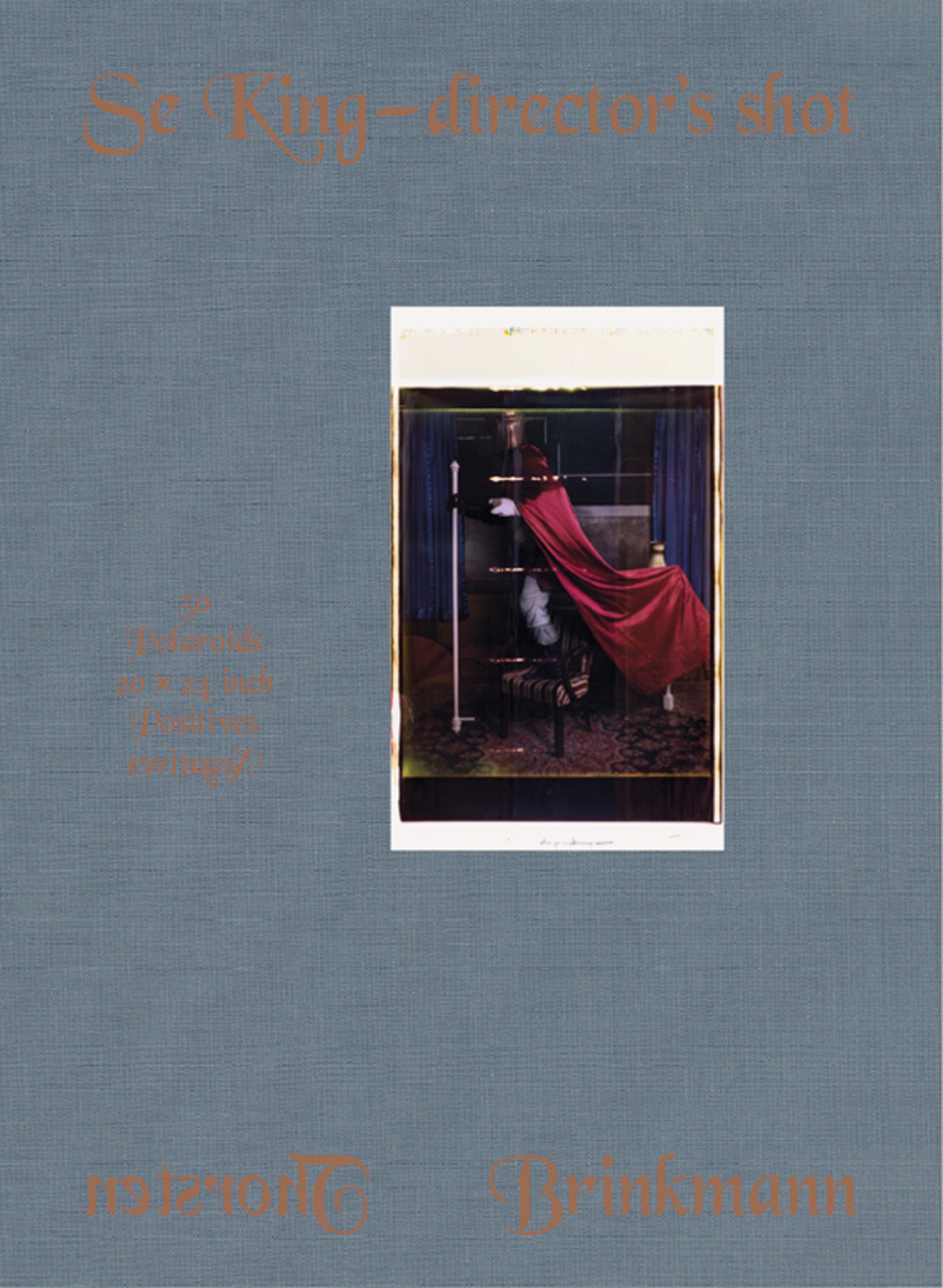 Buchcover Se King – Director's Shot