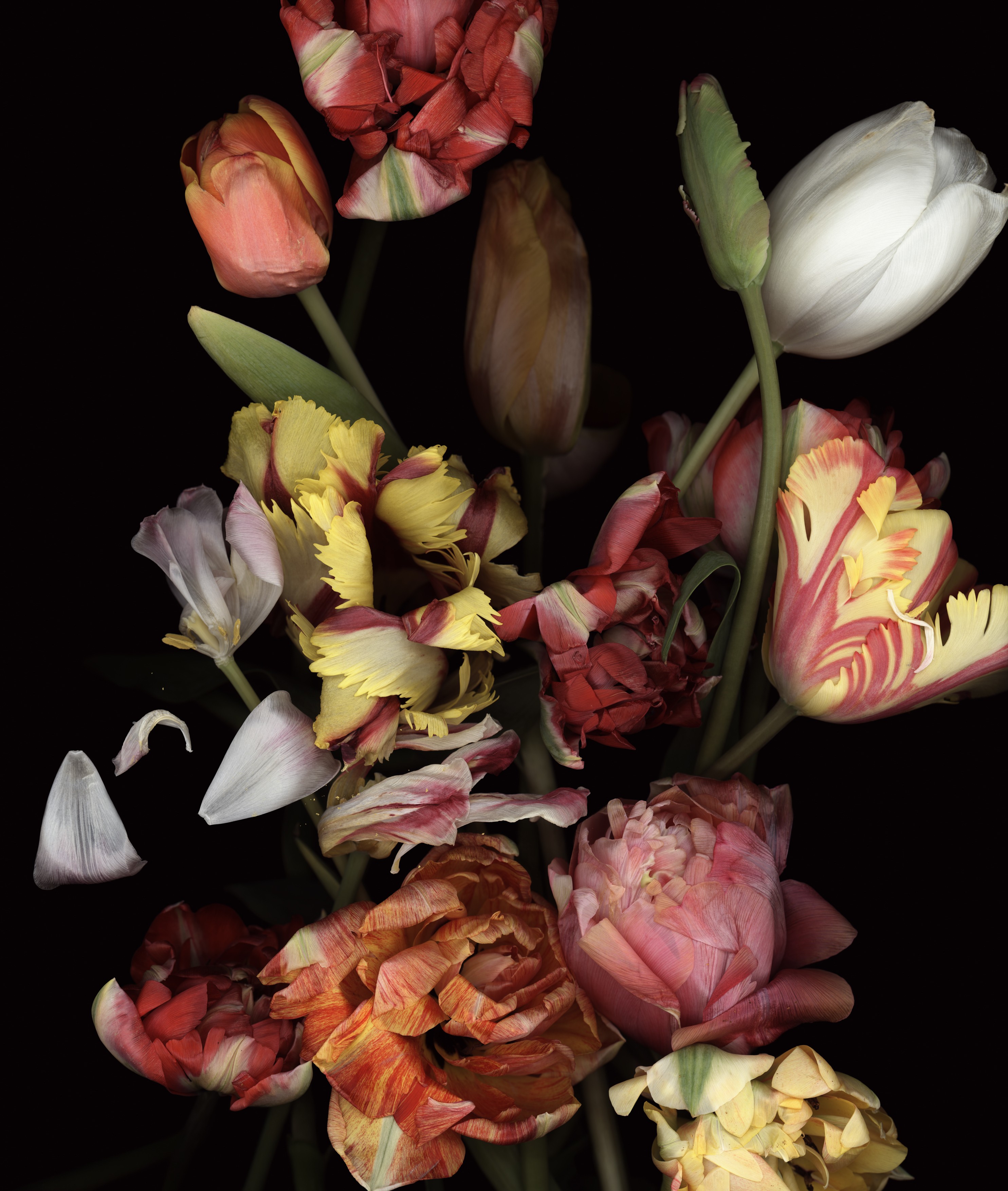 Buchcover Stockage 97