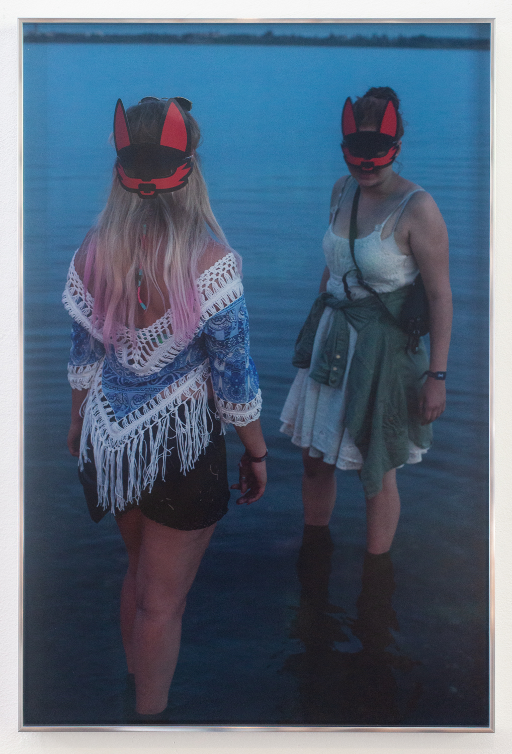 Buchcover Füchse, Splash festival