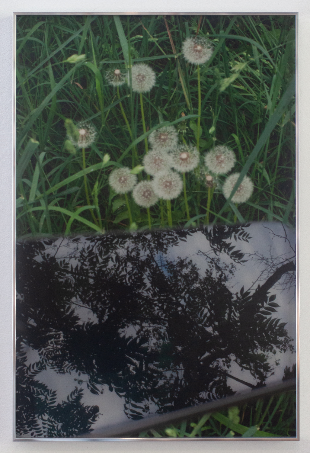 Buchcover Sommer 2017