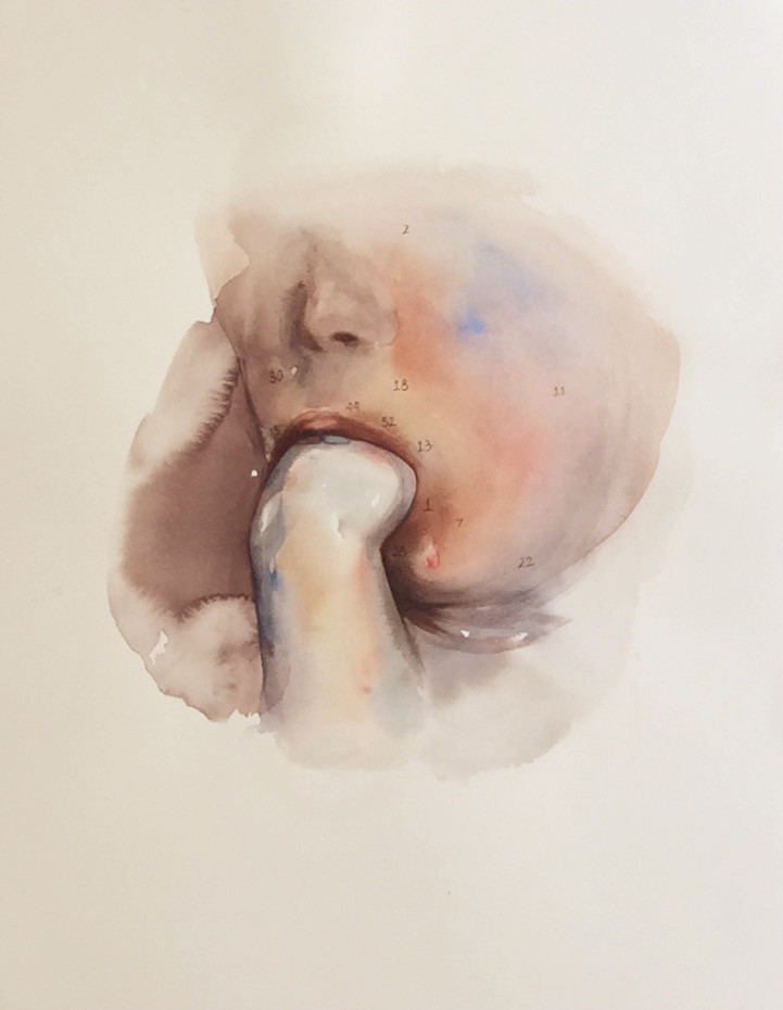 Buchcover Ohne Titel